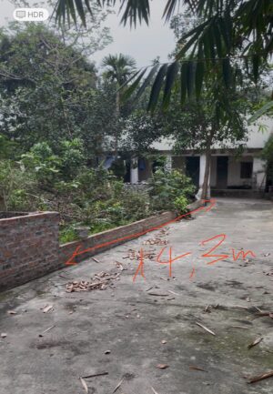 Bán đất mặt tiền 14.3m, diện tích 352,7m2, 100m thổ cư tại Cẩm Đội - Thụy Vân - Việt trì