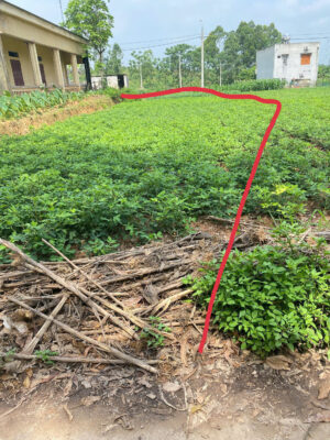 Bán Đất 136m2 tại Khuôn Quãi - Phượng Lâu - Việt Trì (Sao chép)