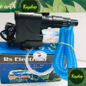 Máy bơm nước RS-1200