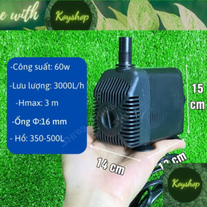 Máy bơm nước LIFETECH 3500