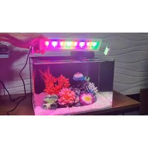 ĐÈN LED XML MÀU 80