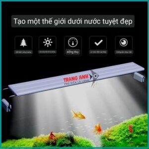 ĐÈN LED XML TRẮNG 40